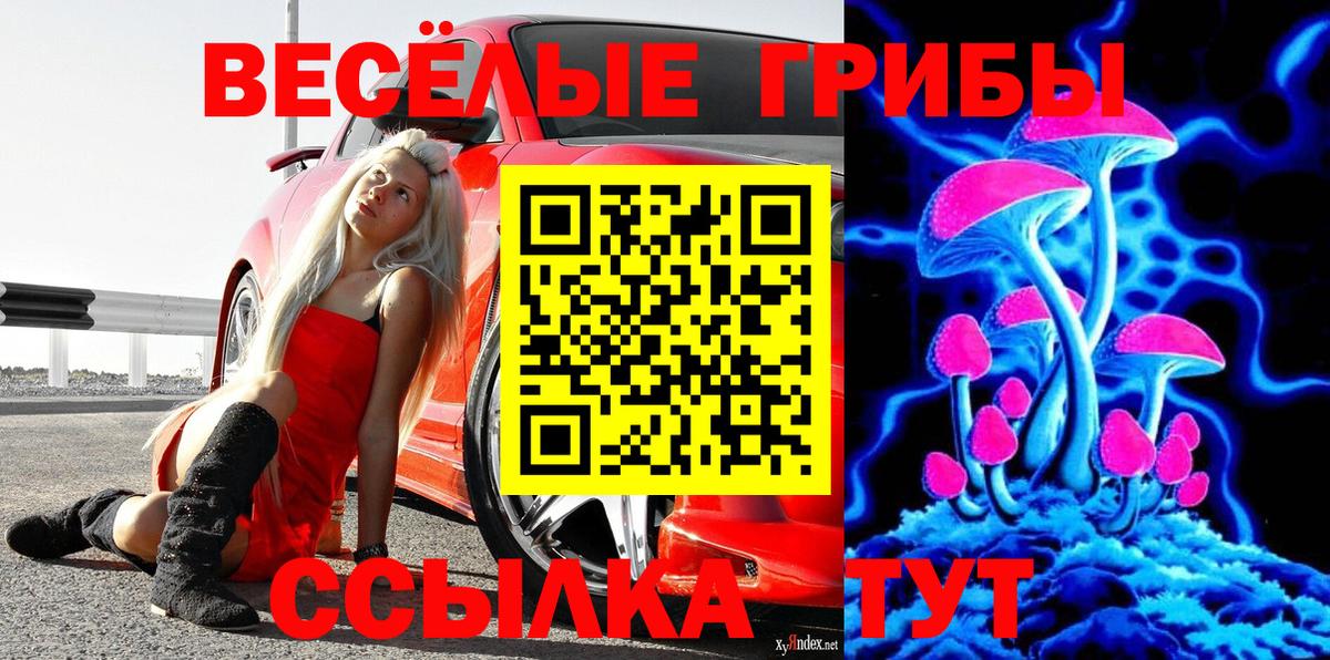 Псилоцибиновые грибы GOLDEN TEACHER  купить наркотик  Качканар  Вход с VPN 