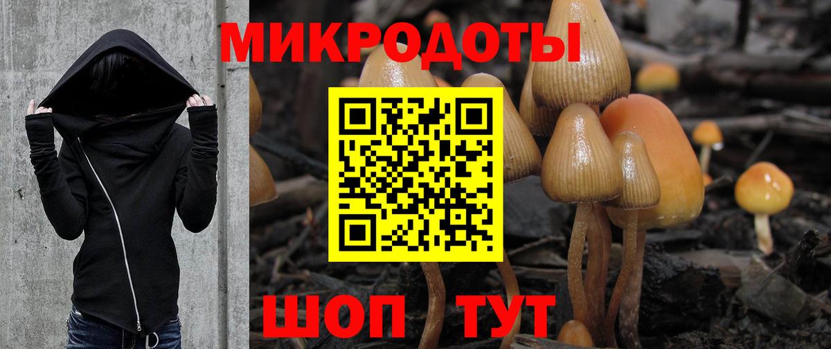 Псилоцибиновые грибы ЛСД Качканар